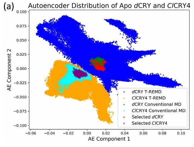 Autoencoder latent-space distribution of apo dCRY and ClCRY4 simulations
