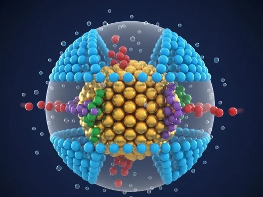 Martini coarse-grained model showing atom-to-bead mapping of protein, lipid, and membrane components.