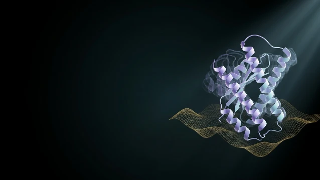 Molecular Dynamics (MD) Simulations