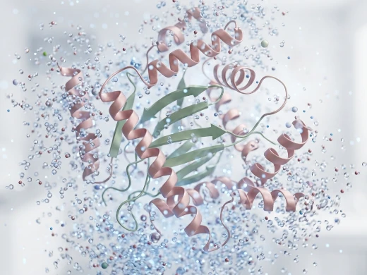 Protein all-atom MD trajectory revealing cryptic pocket opening and induced-fit binding conformation.