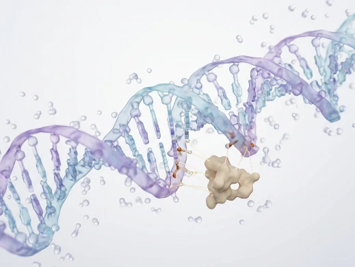 DNA double helix structure with explicit solvent environment showing major/minor groove dynamics.