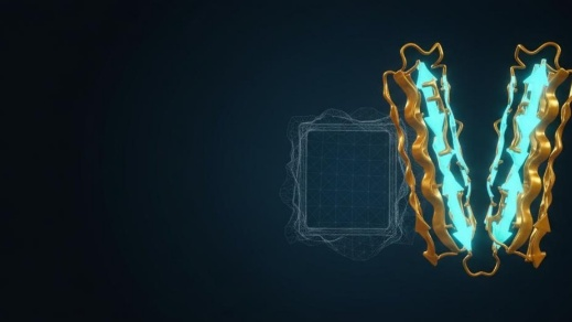 In Silico Antibody Humanization