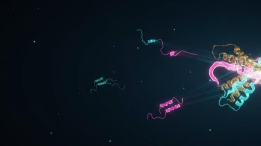 Antibody Affinity Maturation (AI-Assisted)