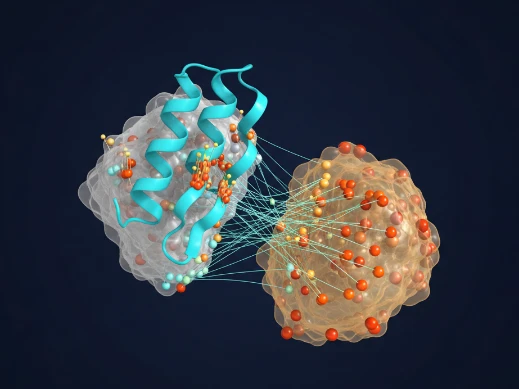 Antibody-antigen binding interface highlighting paratope residues and CDR annotation.