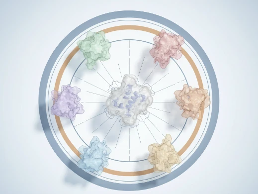 Cross-species epitope conservation wheel displaying proteome-wide homology scan results.