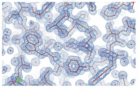 3D electron density map of protein complex at atomic resolution, illustrating overall fold and subunit packing.