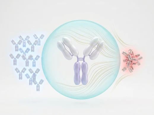 Antibody developability profiling showing aggregation risk zones and solubility optimization strategies.