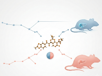 An active learning workflow showing uncertainty-based sample selection from a chemical space, with oracle annotation feeding back into model training.