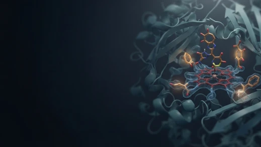 P450 Enzyme Substrate/Inhibitor Prediction