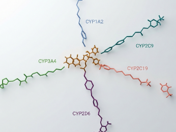 A graph neural network attention map overlaying a molecular structure, highlighting atoms contributing to CYP3A4 inhibition prediction.