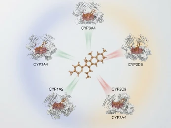 Five parallel metabolic pathway diagrams representing CYP1A2, CYP2C9, CYP2C19, CYP2D6, and CYP3A4 isoforms with substrate specificity indicators.