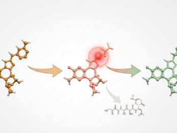 A drug-drug interaction matrix visualization showing metabolic perpetrator-victim relationships with confidence scoring gradients.