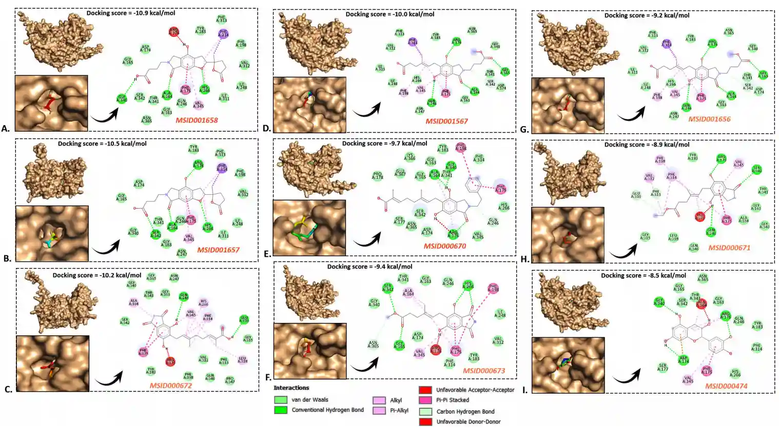 Post-simulation analysis of the protein-ligand complexes