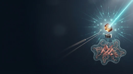 AI-Assisted X-ray Crystallography Services