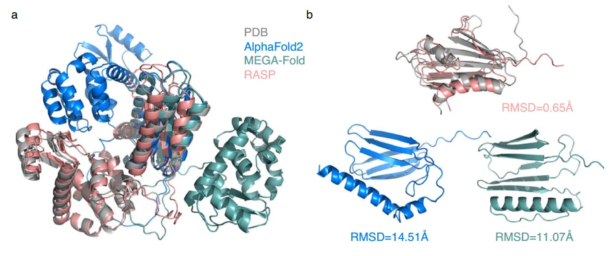 RASP-assisted NMR structure prediction for challenging targets