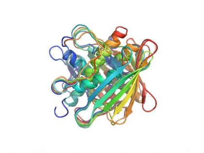 2D HSQC spectrum showing protein backbone resonance assignments with AI-predicted chemical shift overlay.