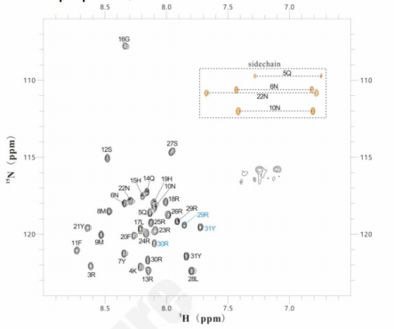1H-15N HSQC spectrum of target peptide with sequential resonance assignments.