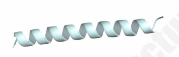 3D structural ensemble of target peptide showing long alpha-helical conformation.