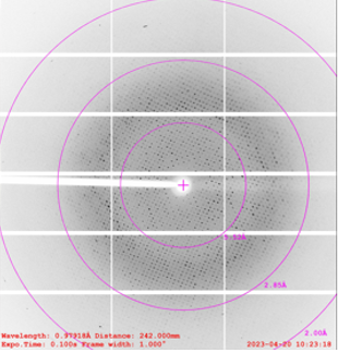 X-ray diffraction pattern with sharp reflections extending to high-resolution rings.