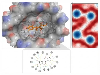 Molecular docking and binding free energy analysis interface for structure-based drug design.