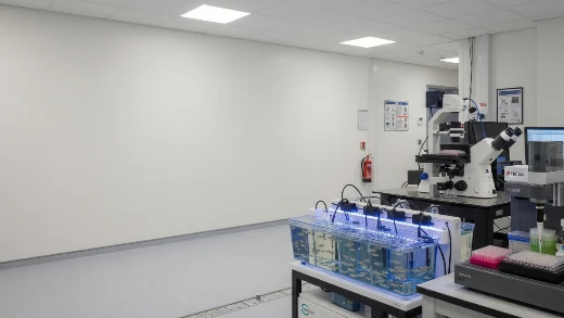 MagHelix™ Zebrafish Screening Platform