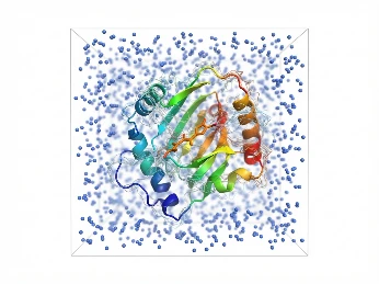 Molecular dynamics simulation of a protein-ligand complex in explicit solvent with free energy landscape.