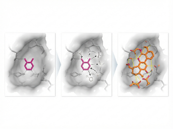 Fragment-to-lead growth strategy showing scaffold hopping from fragment hit to optimized lead compound.