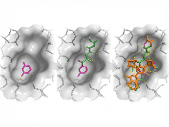 3D fragment growing strategy from initial hit to optimized lead compound in a protein binding pocket.
