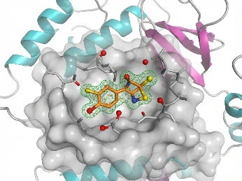 X-ray co-crystal structure of a fragment bound in a shallow PPI pocket at atomic resolution.