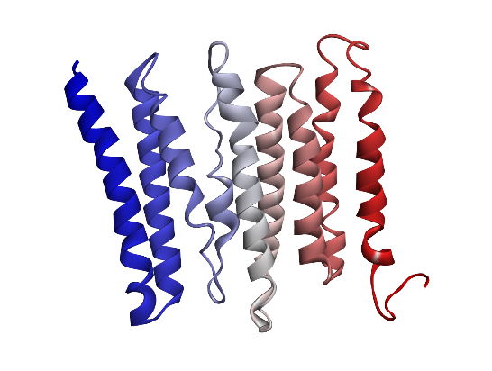 Protein structural model prepared from PDB database or AI-generated virtual modeling.
