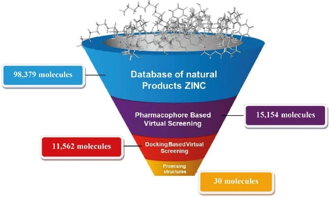 Virtual screening funnel filtering 98,379 natural product molecules down to 30 promising structures.