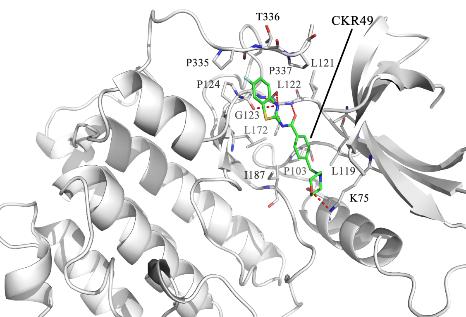 Docking pose showing compound bound in target protein pocket with labeled interaction residues.